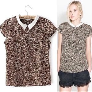 Zara Trafaluc Leopard Print Peter Pan Collar Blouse
